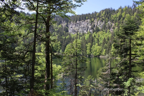 Feldsee