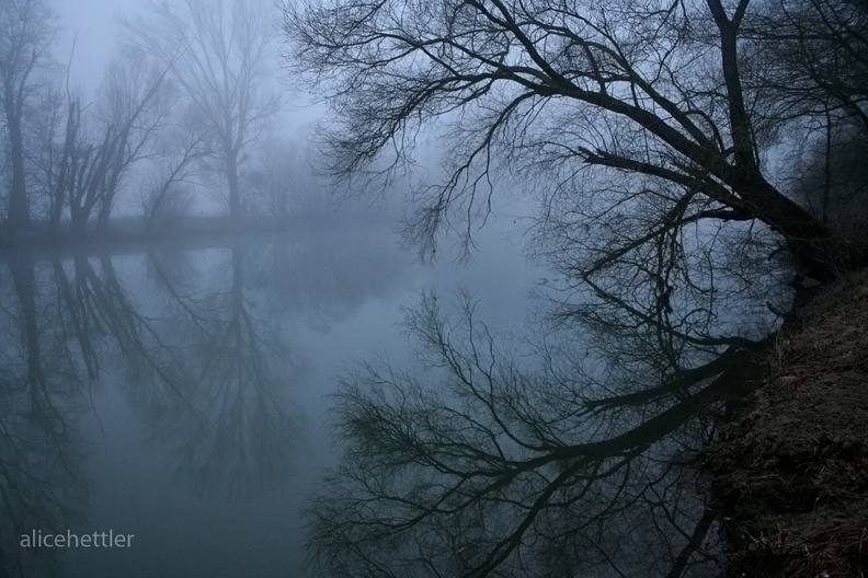 Neckar bei Nebel