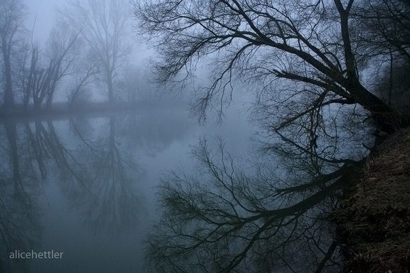 Neckar bei Nebel