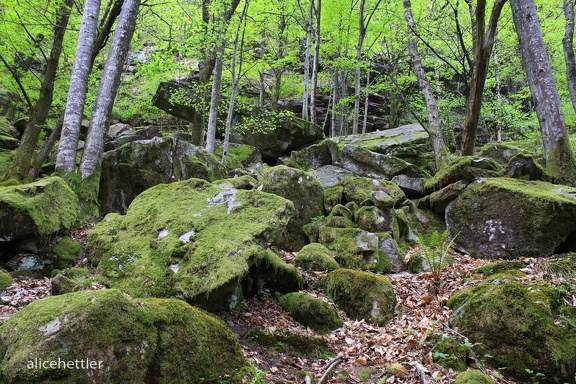 Valle Verzasca