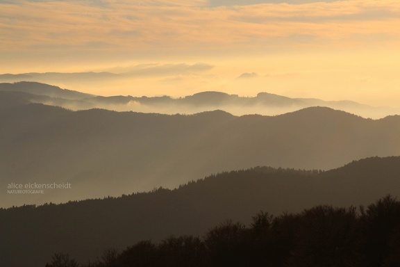 Naturpark Südschwarzwald