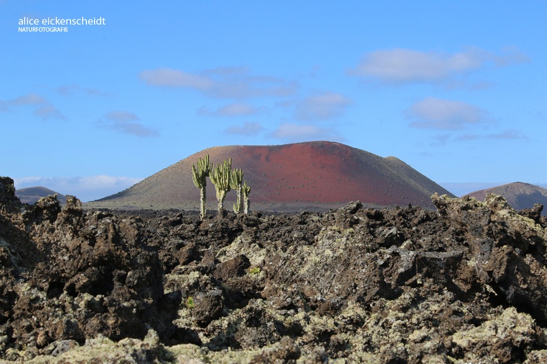 Lanzarote (113) Montana Colorado.JPG