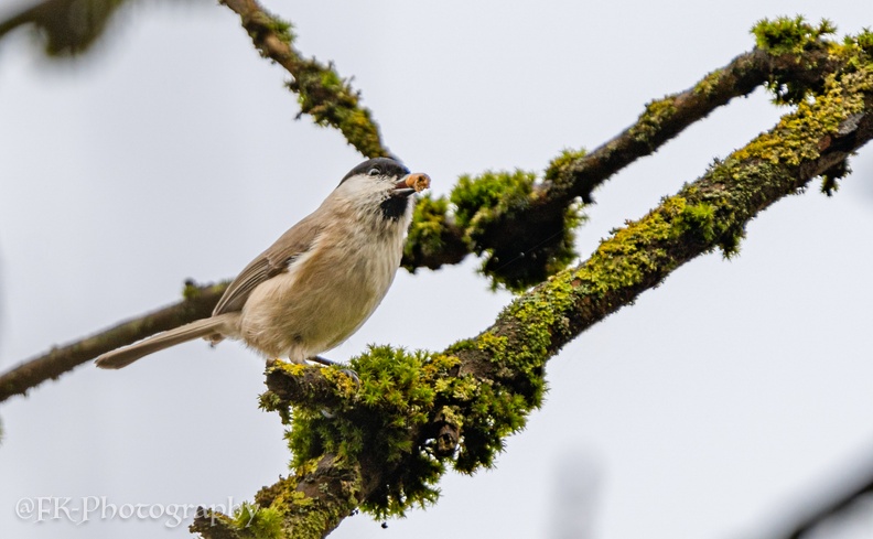 DIX09753-Bearbeitet.jpg